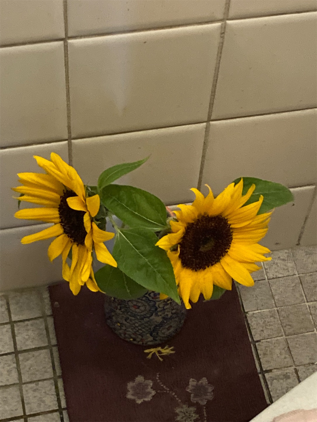 f:id:moomoon6355:20220421205546j:image