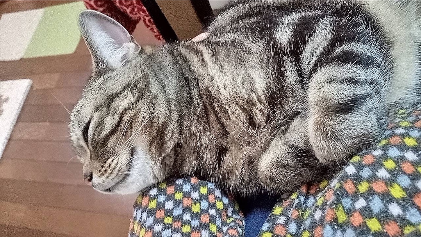 f:id:moomoon6355:20220421205925j:image