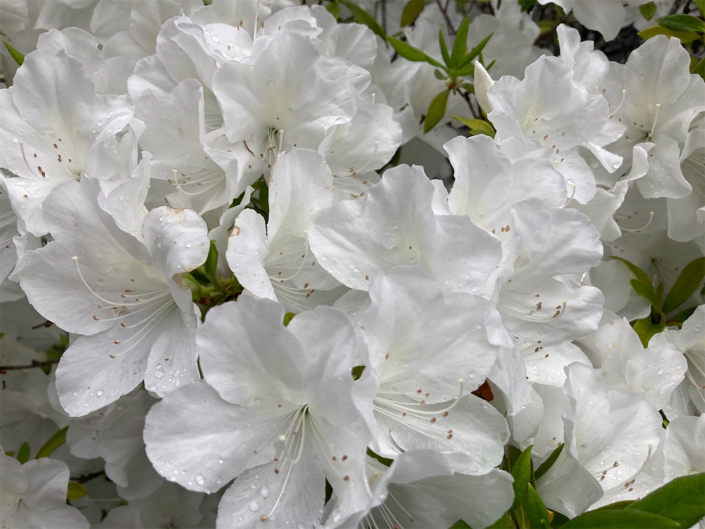 f:id:moomoon6355:20220426174042j:image