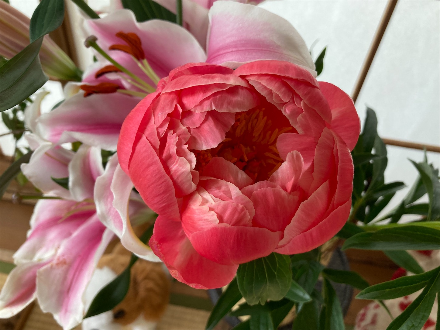 f:id:moomoon6355:20220426174137j:image