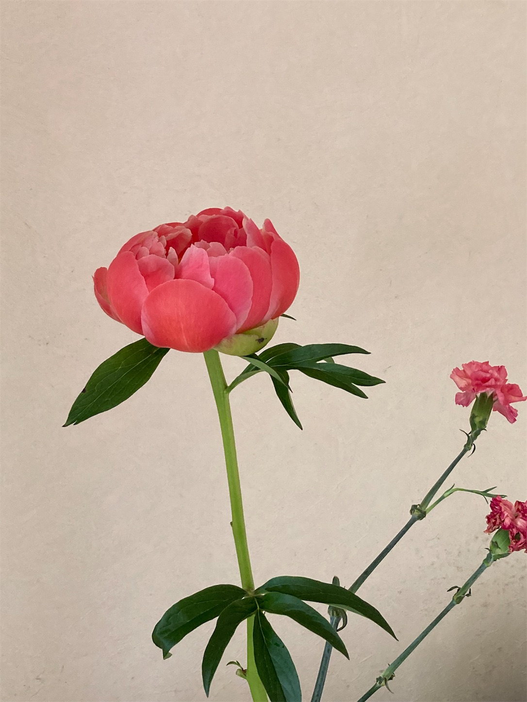 f:id:moomoon6355:20220428220216j:image