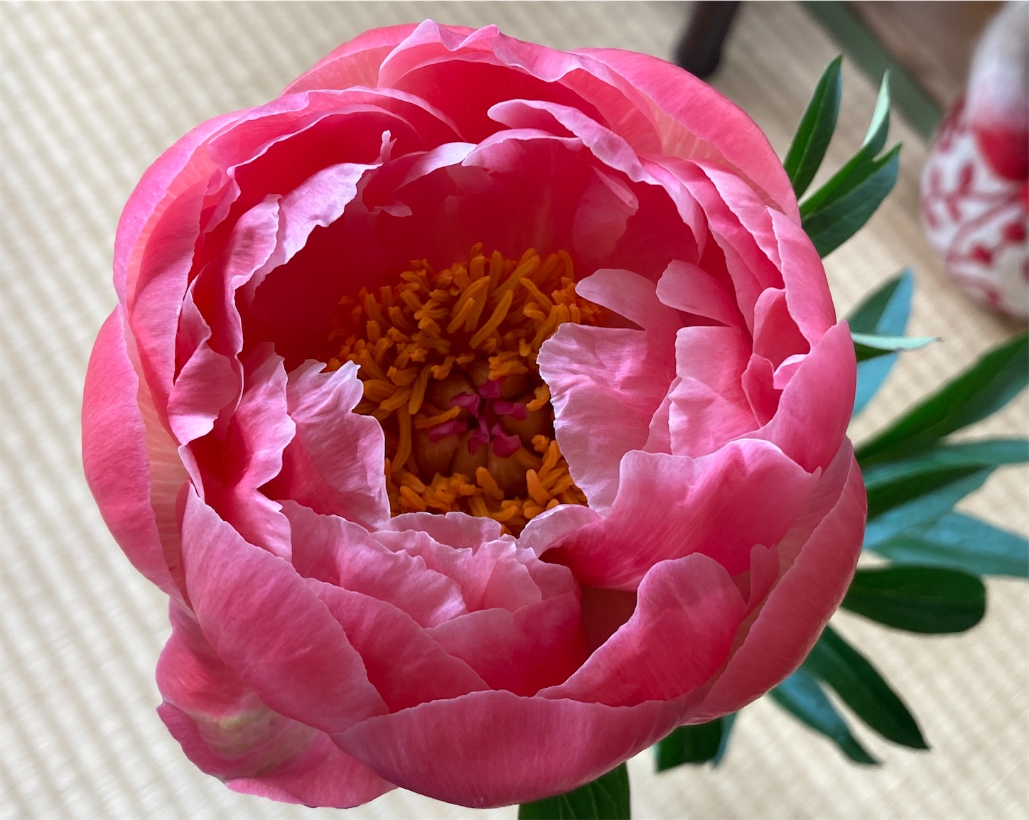 f:id:moomoon6355:20220428220227j:image