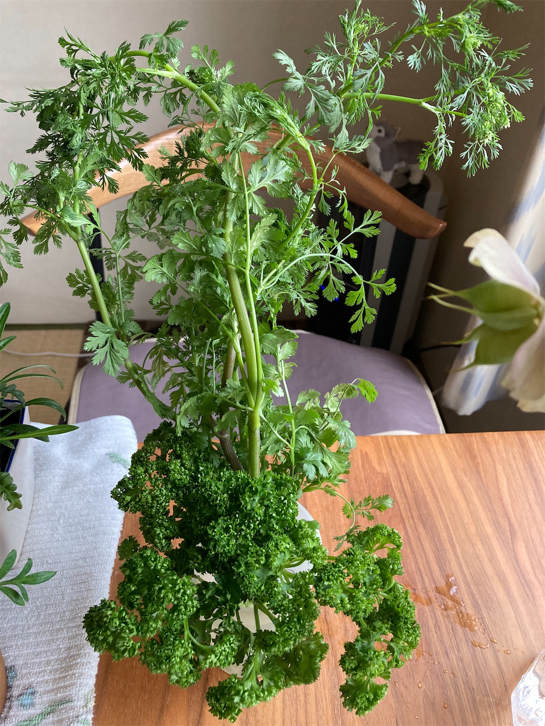 f:id:moomoon6355:20220428220236j:image