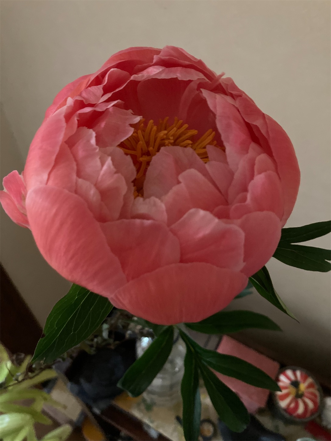 f:id:moomoon6355:20220428222317j:image