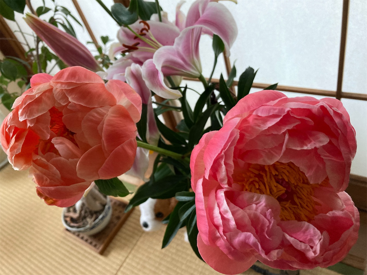 f:id:moomoon6355:20220428222325j:image