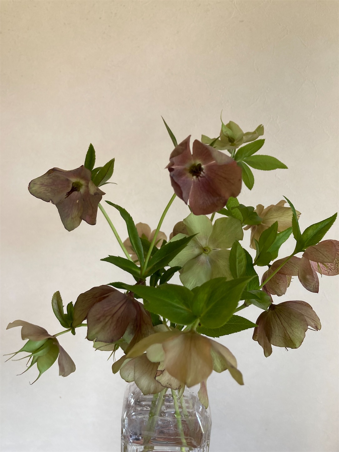 f:id:moomoon6355:20220428222329j:image