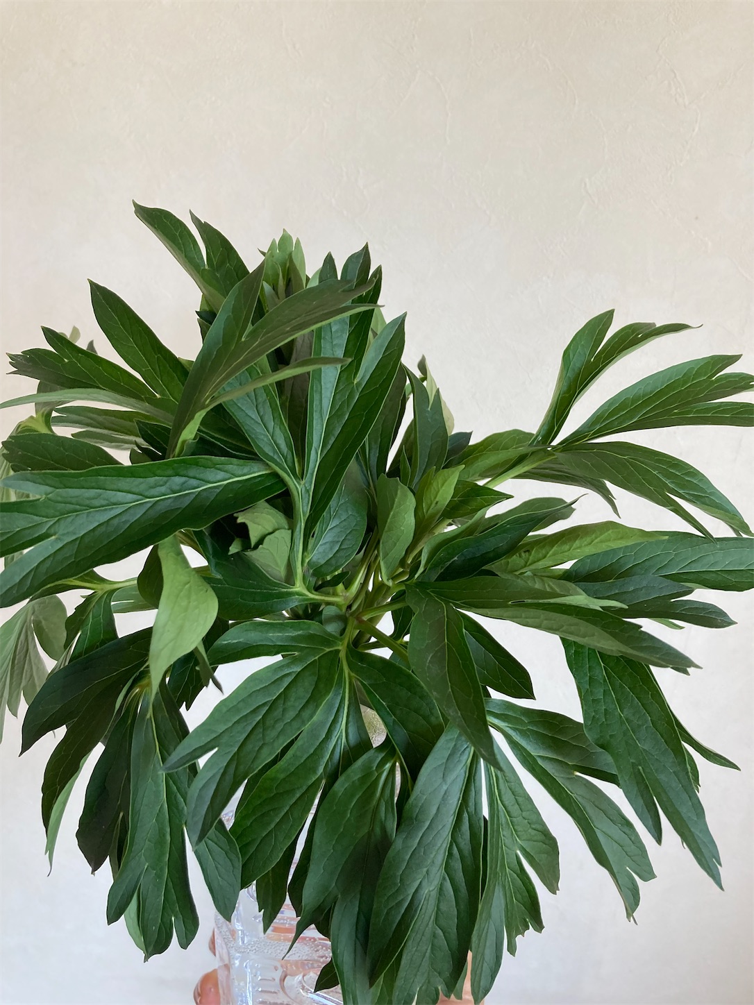 f:id:moomoon6355:20220428222334j:image