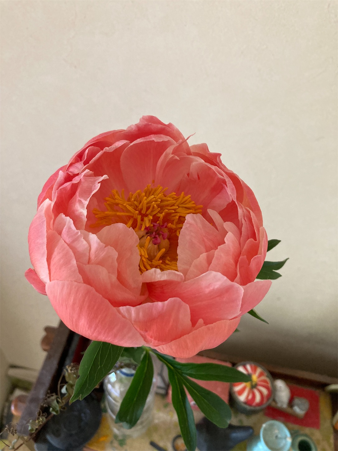 f:id:moomoon6355:20220428222342j:image