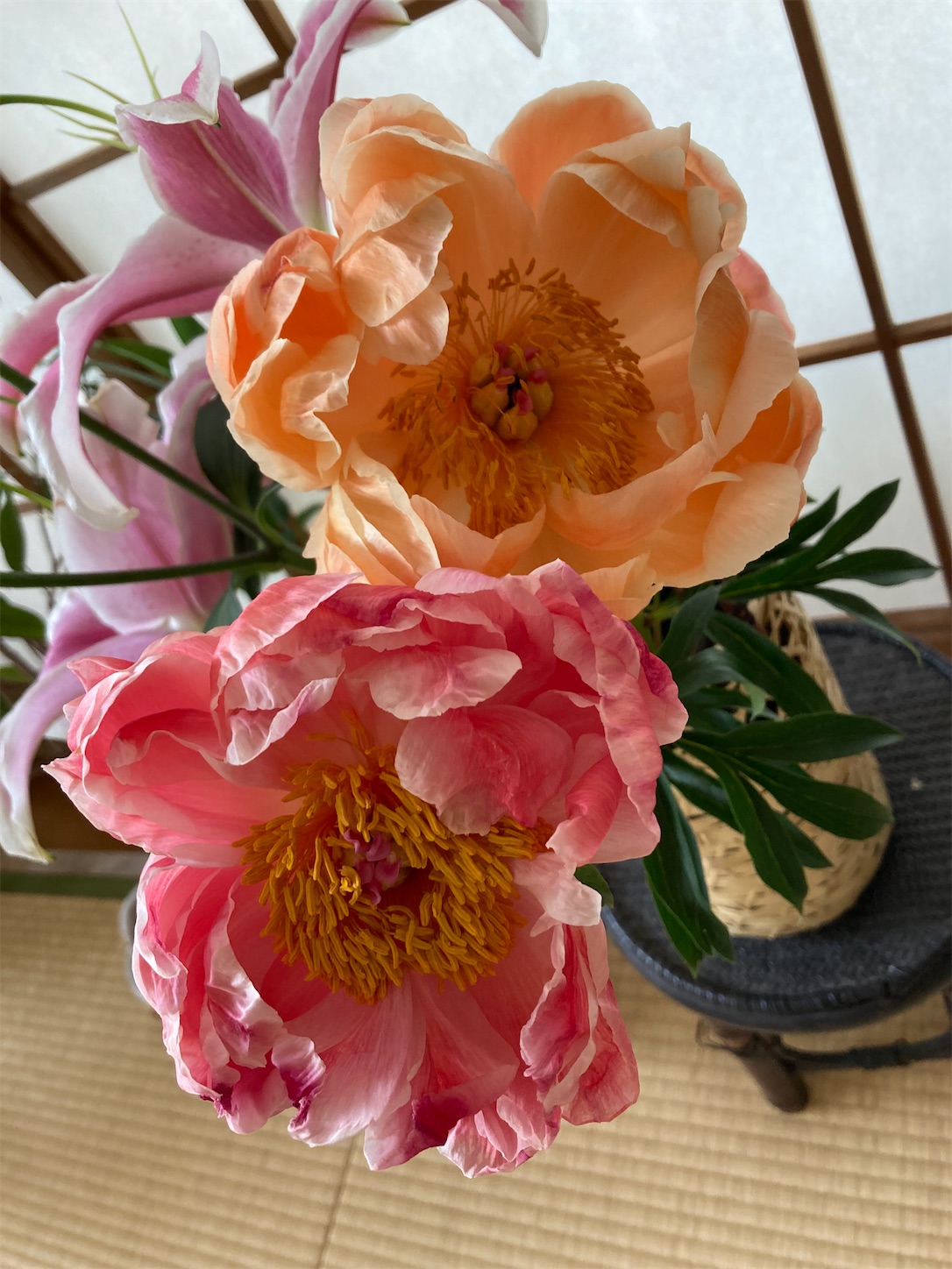 f:id:moomoon6355:20220428222355j:image