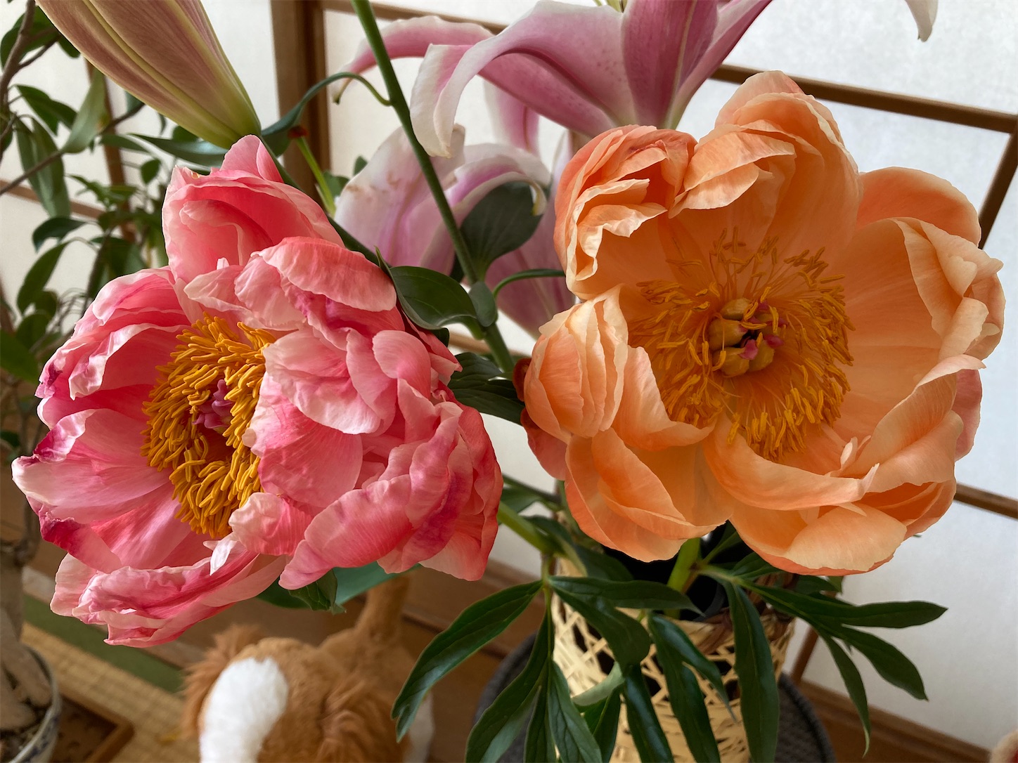 f:id:moomoon6355:20220428222358j:image