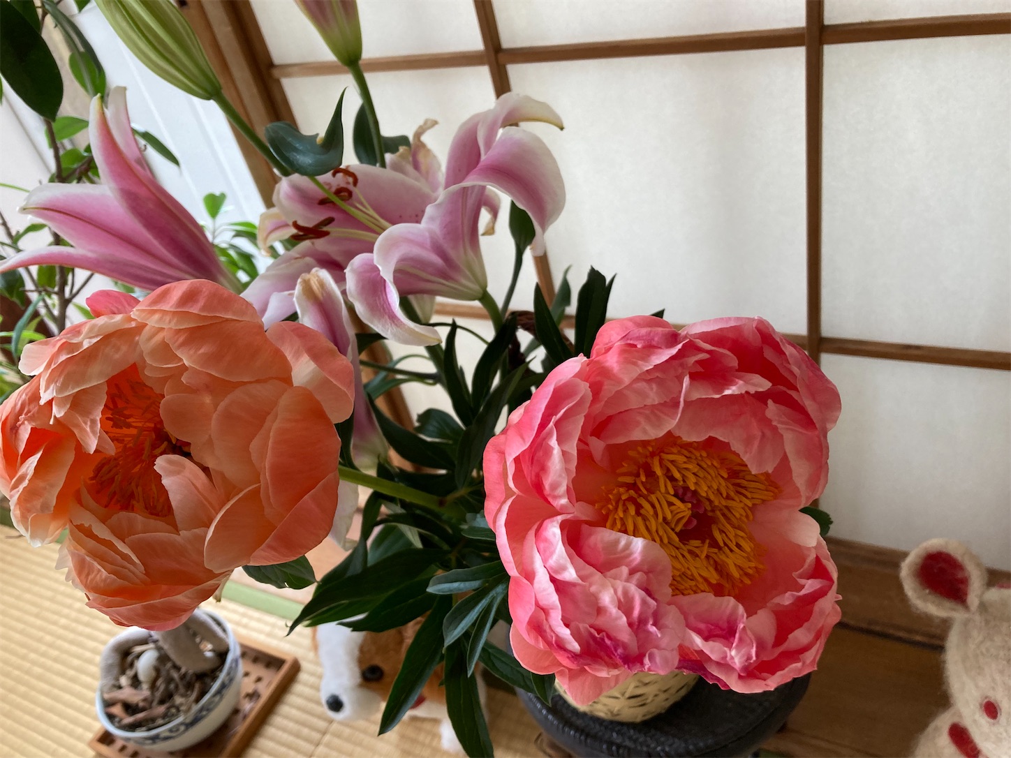 f:id:moomoon6355:20220428222403j:image