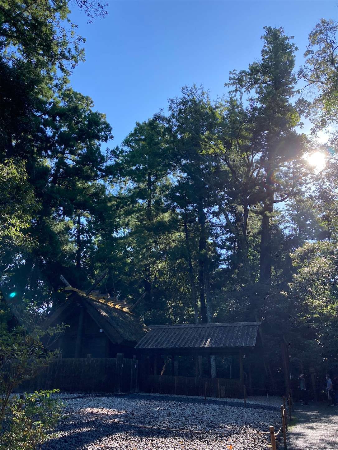 f:id:moomoon6355:20220926090809j:image f:id:moomoon6355:20220926090809j:image