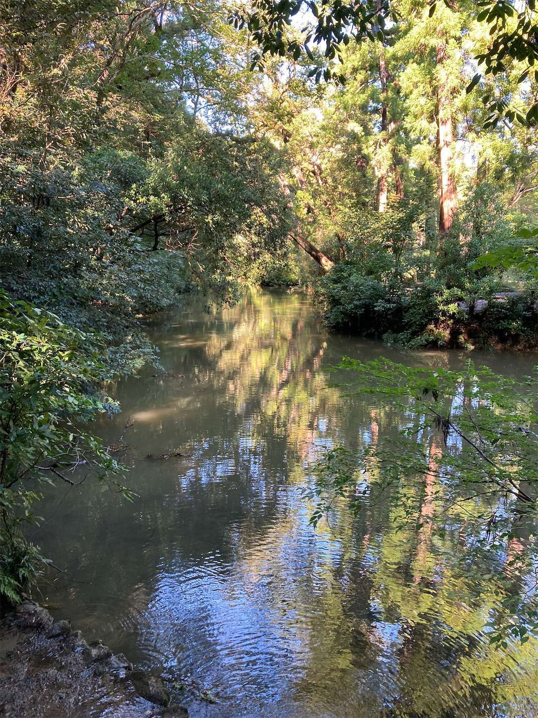 f:id:moomoon6355:20220926090820j:image f:id:moomoon6355:20220926090820j:image