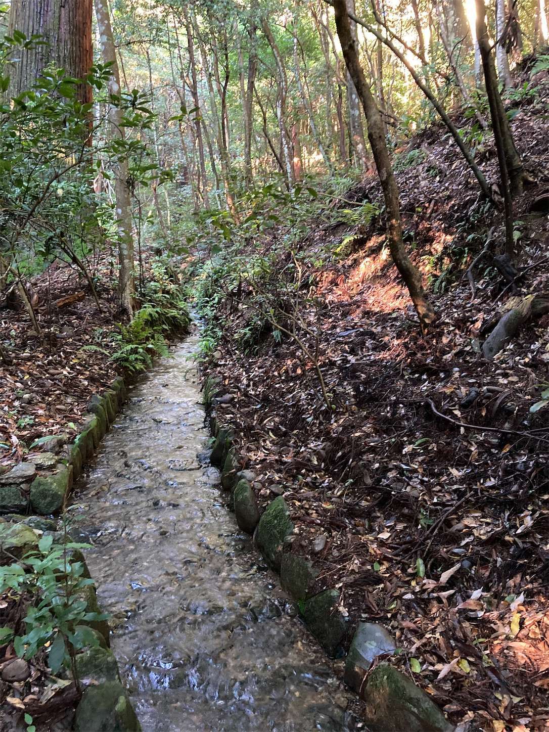 f:id:moomoon6355:20220926090831j:image f:id:moomoon6355:20220926090831j:image