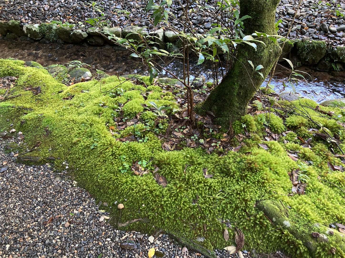 f:id:moomoon6355:20220926090836j:image f:id:moomoon6355:20220926090836j:image