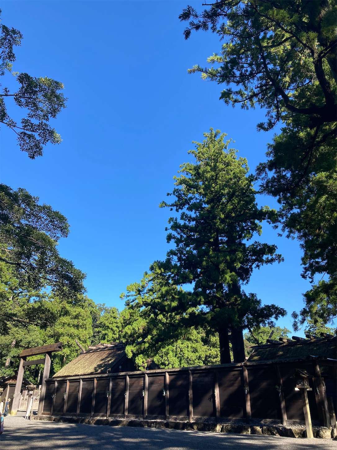 f:id:moomoon6355:20220926090841j:image f:id:moomoon6355:20220926090841j:image