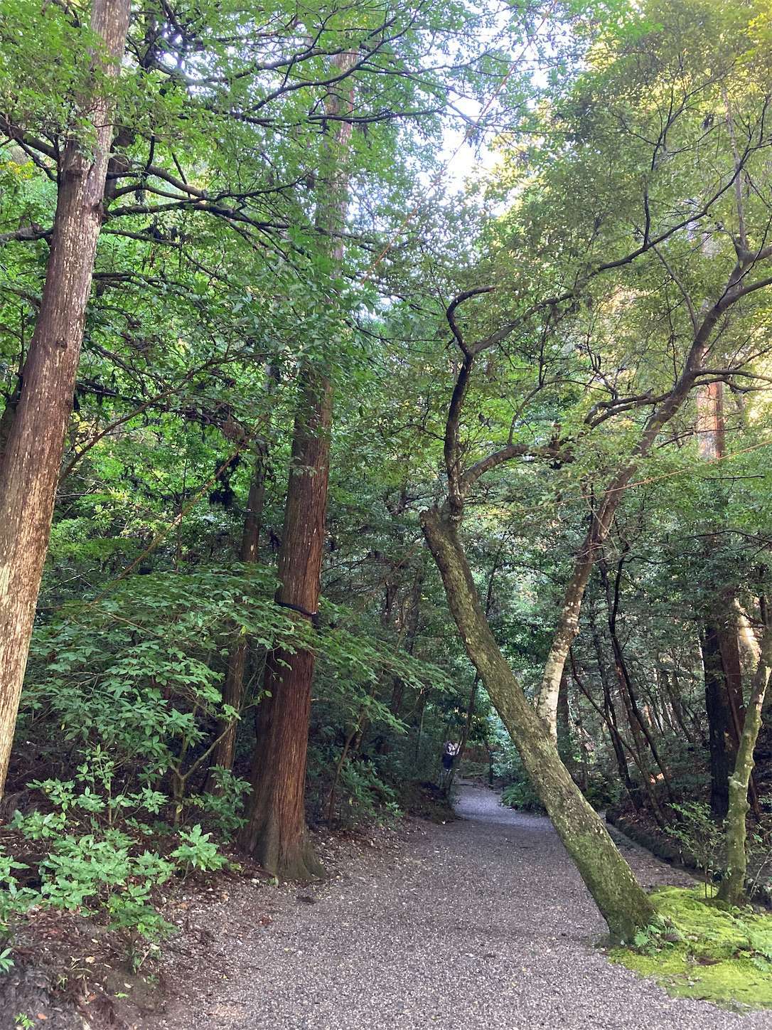 f:id:moomoon6355:20220926090845j:image f:id:moomoon6355:20220926090845j:image