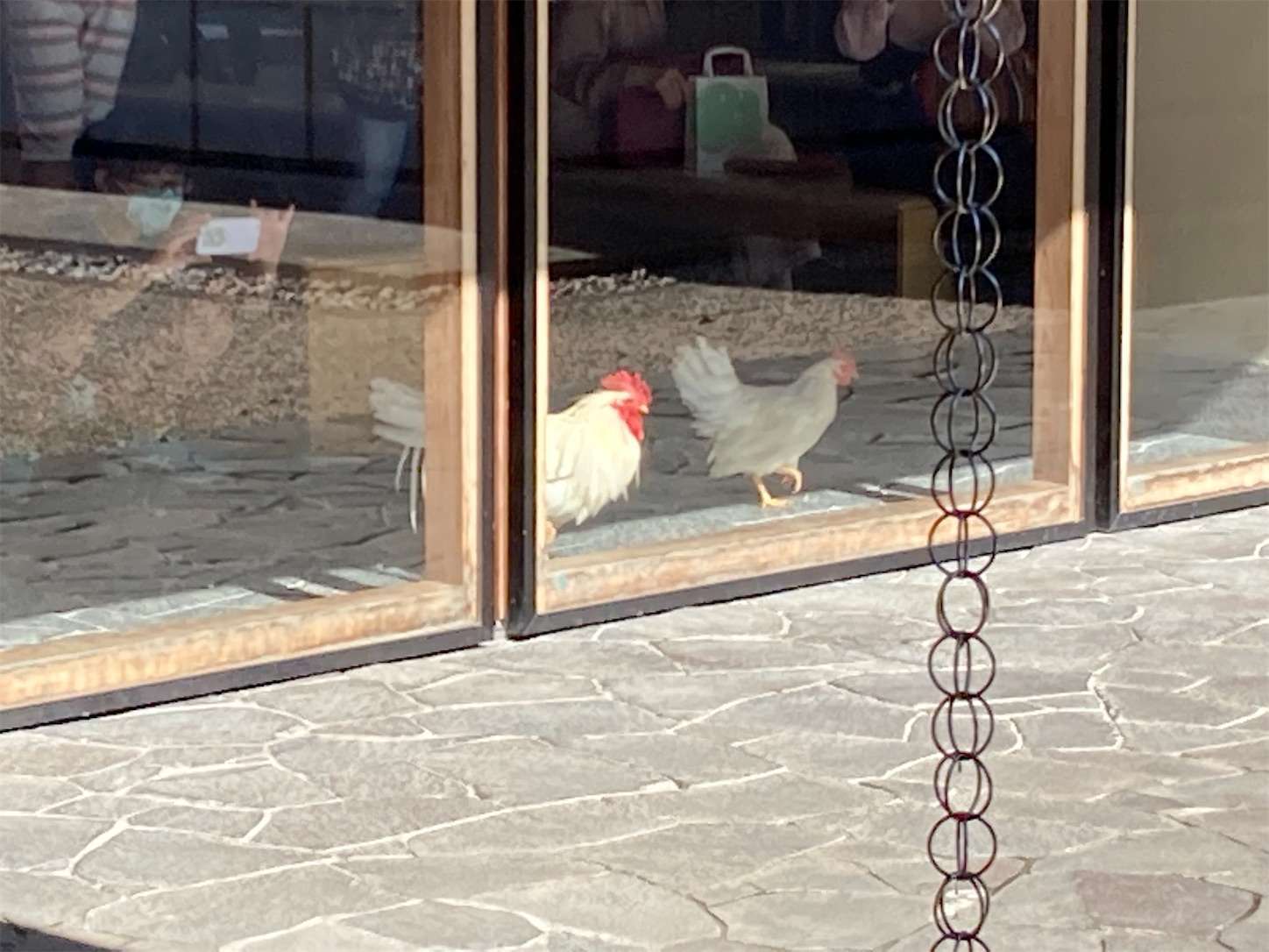 f:id:moomoon6355:20220926091339j:image f:id:moomoon6355:20220926091339j:image