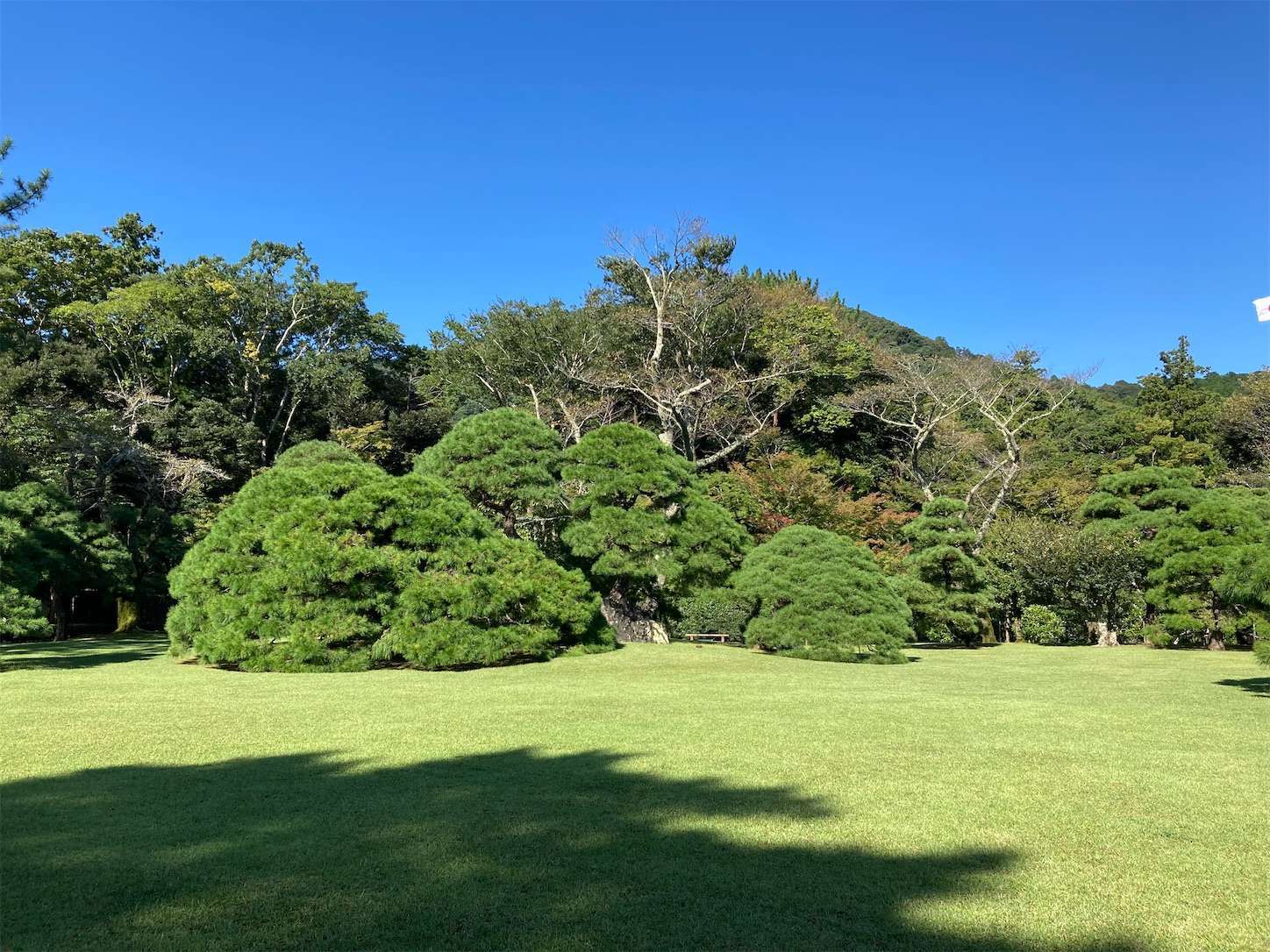 f:id:moomoon6355:20220926091343j:image f:id:moomoon6355:20220926091343j:image