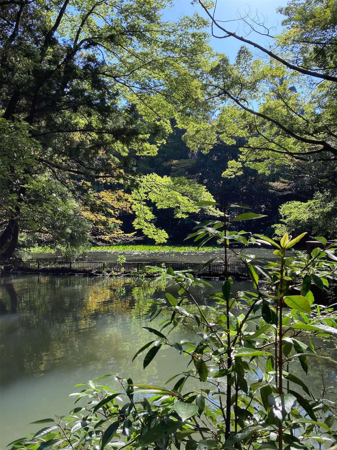 f:id:moomoon6355:20220926091355j:image f:id:moomoon6355:20220926091355j:image