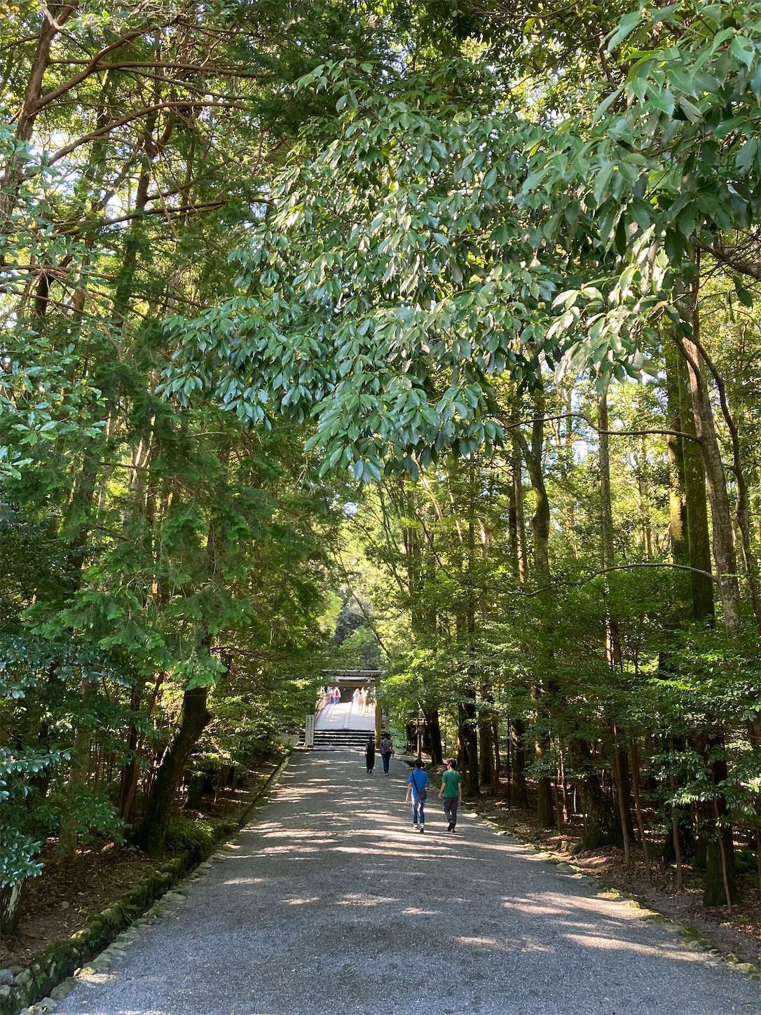 f:id:moomoon6355:20220926091634j:image f:id:moomoon6355:20220926091634j:image