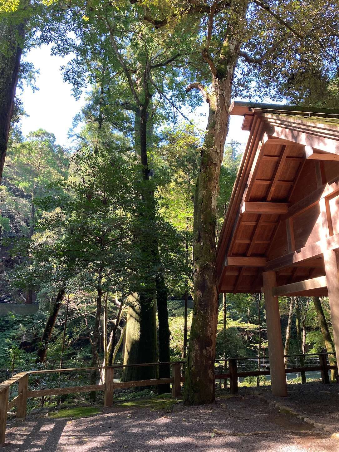 f:id:moomoon6355:20220926091640j:image f:id:moomoon6355:20220926091640j:image