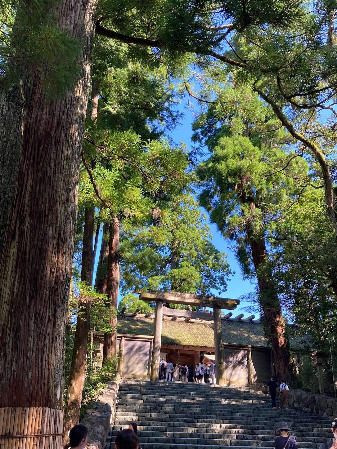 f:id:moomoon6355:20220926091644j:image f:id:moomoon6355:20220926091644j:image