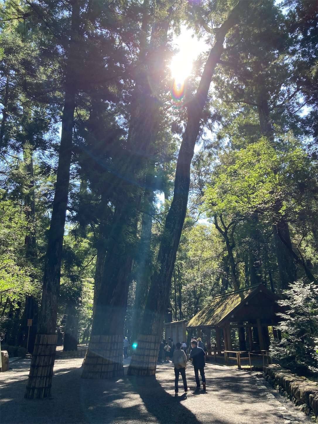 f:id:moomoon6355:20220926091649j:image f:id:moomoon6355:20220926091649j:image