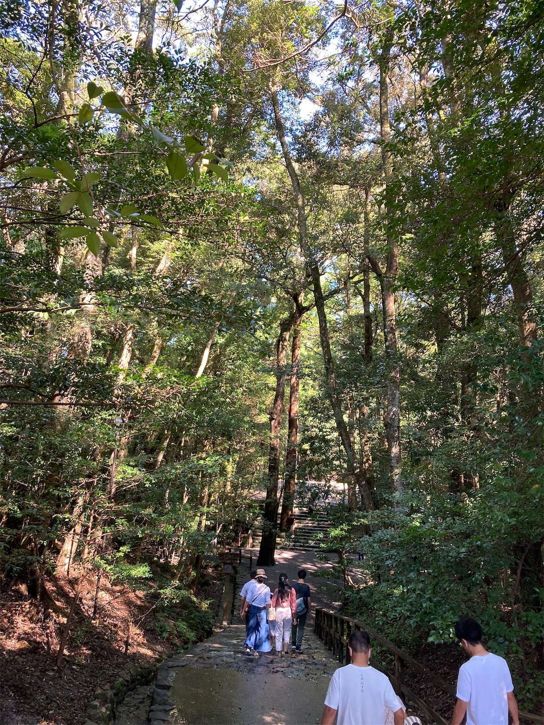 f:id:moomoon6355:20220926091653j:image f:id:moomoon6355:20220926091653j:image