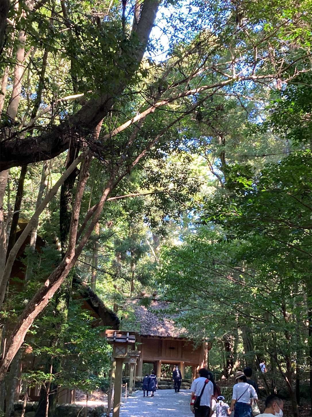 f:id:moomoon6355:20220926091657j:image f:id:moomoon6355:20220926091657j:image