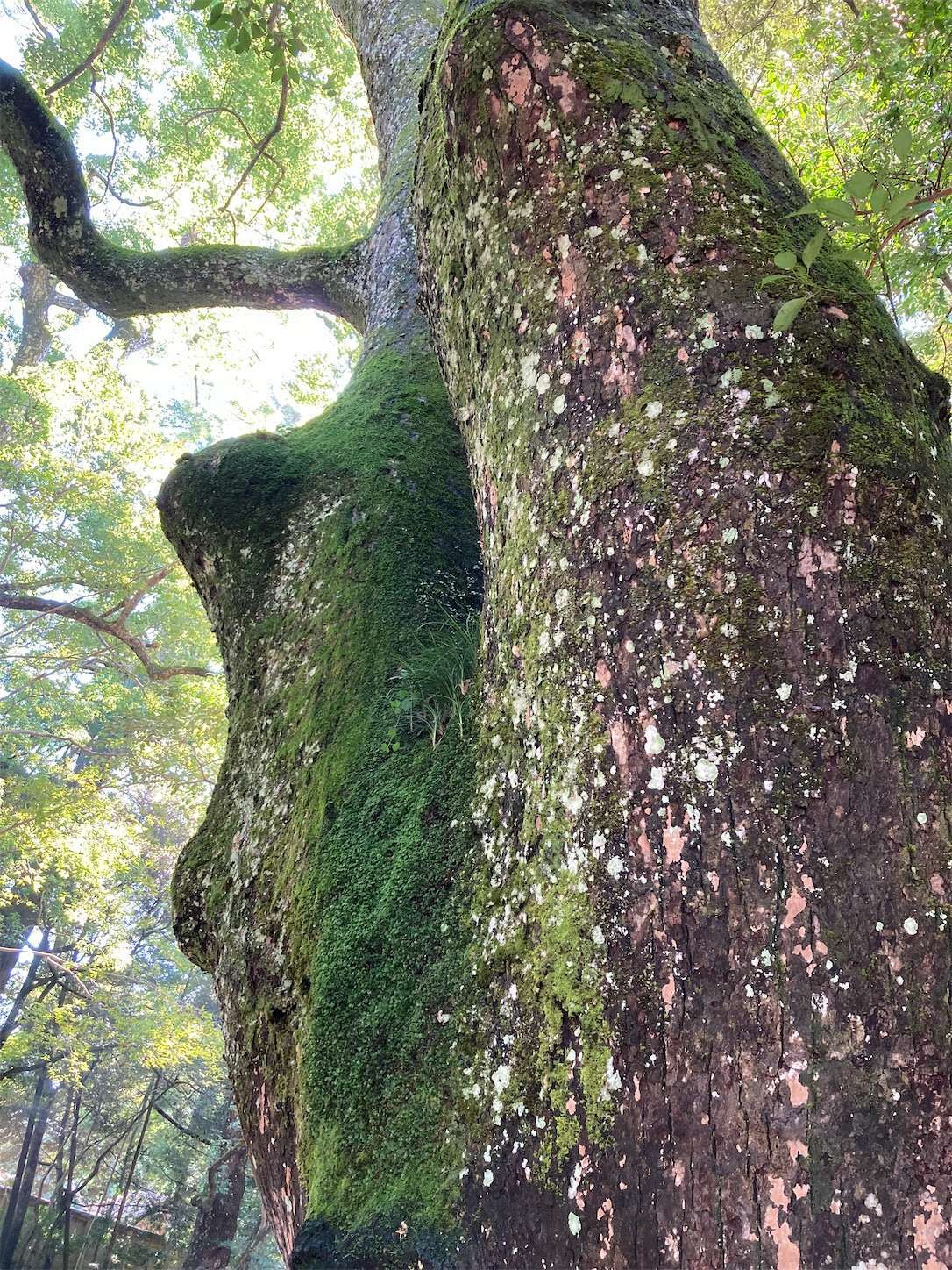 f:id:moomoon6355:20220926091701j:image f:id:moomoon6355:20220926091701j:image