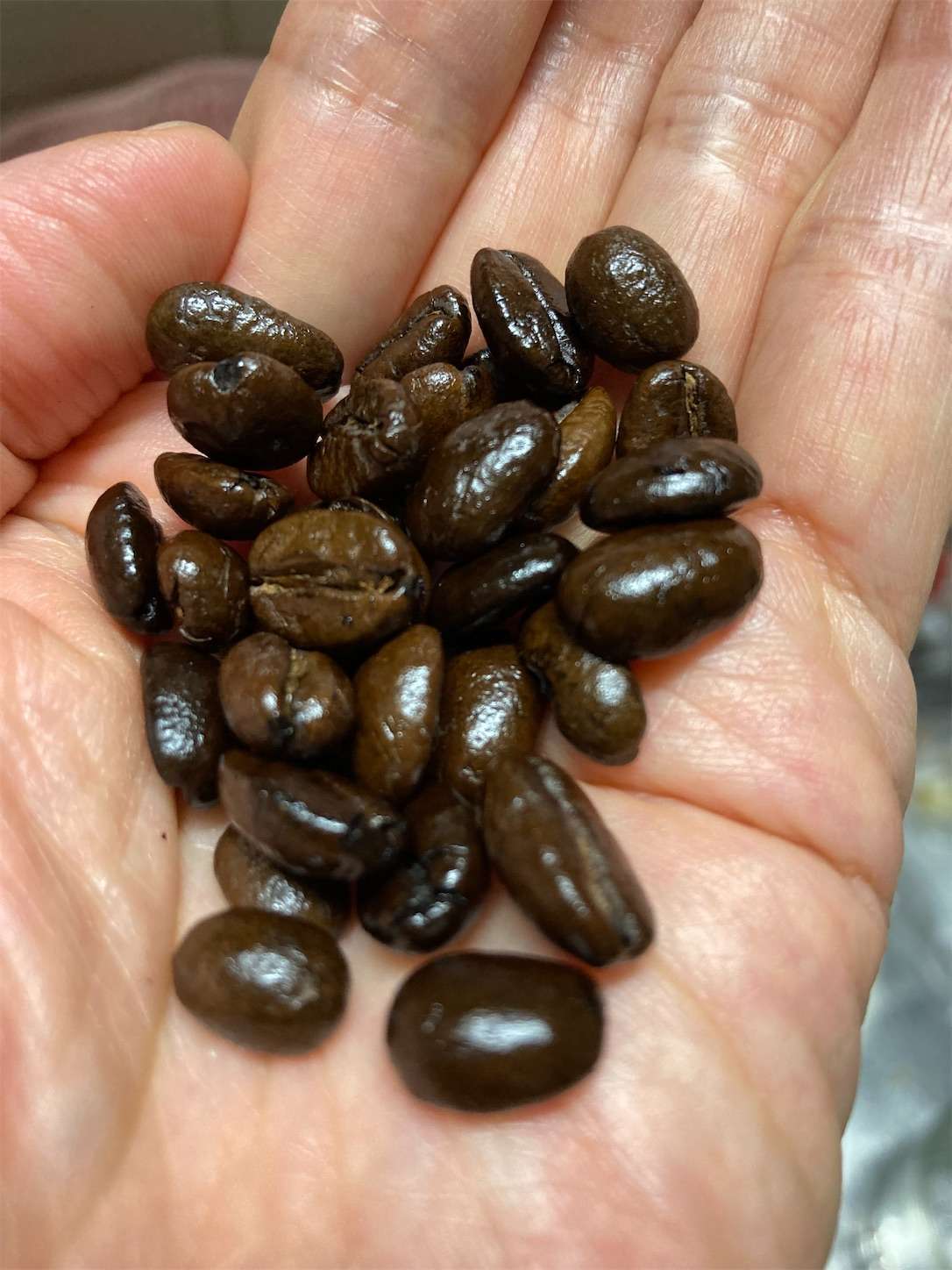 f:id:moomoon6355:20220929132535j:image f:id:moomoon6355:20220929132535j:image