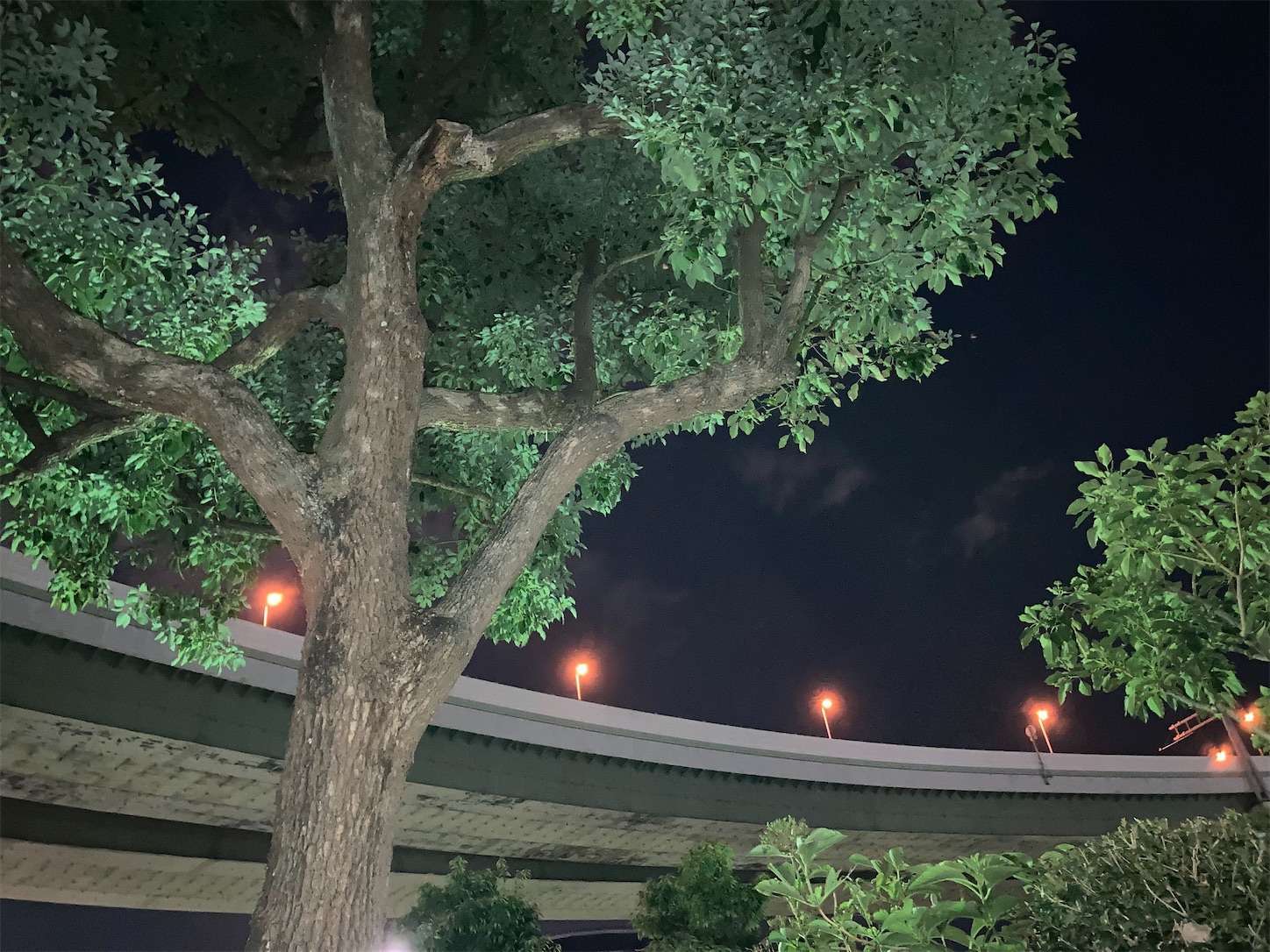 f:id:moomoon6355:20220929132728j:image f:id:moomoon6355:20220929132728j:image