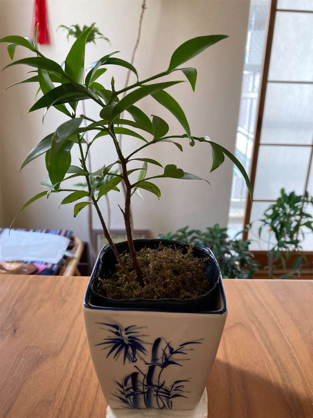 f:id:moomoon6355:20220929133138j:image f:id:moomoon6355:20220929133138j:image