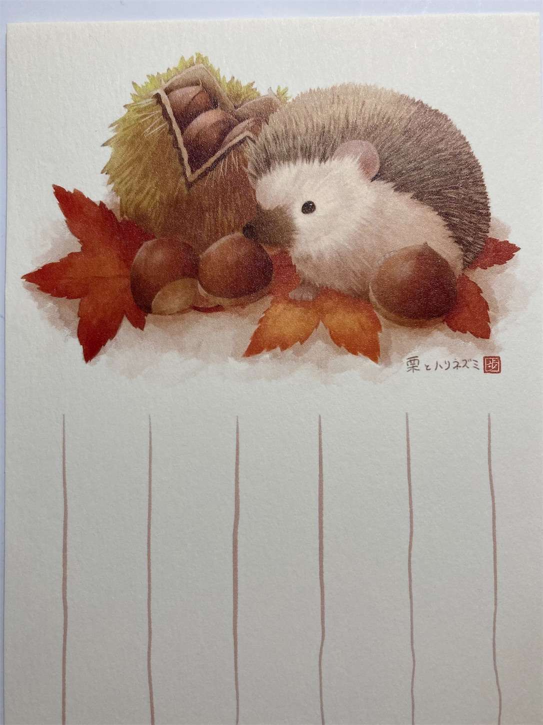 f:id:moomoon6355:20220929133413j:image f:id:moomoon6355:20220929133413j:image