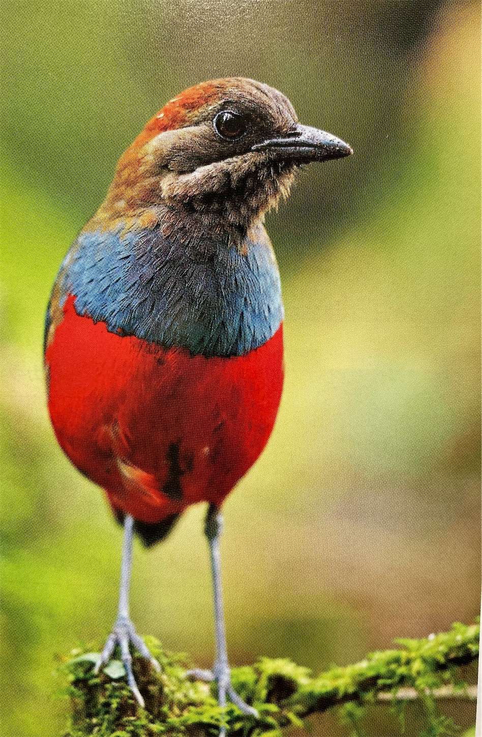 f:id:moomoon6355:20220929134018j:image f:id:moomoon6355:20220929134018j:image