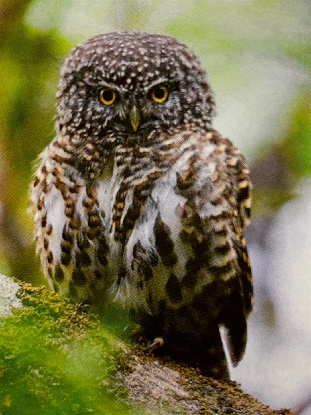 f:id:moomoon6355:20220929134023j:image f:id:moomoon6355:20220929134023j:image