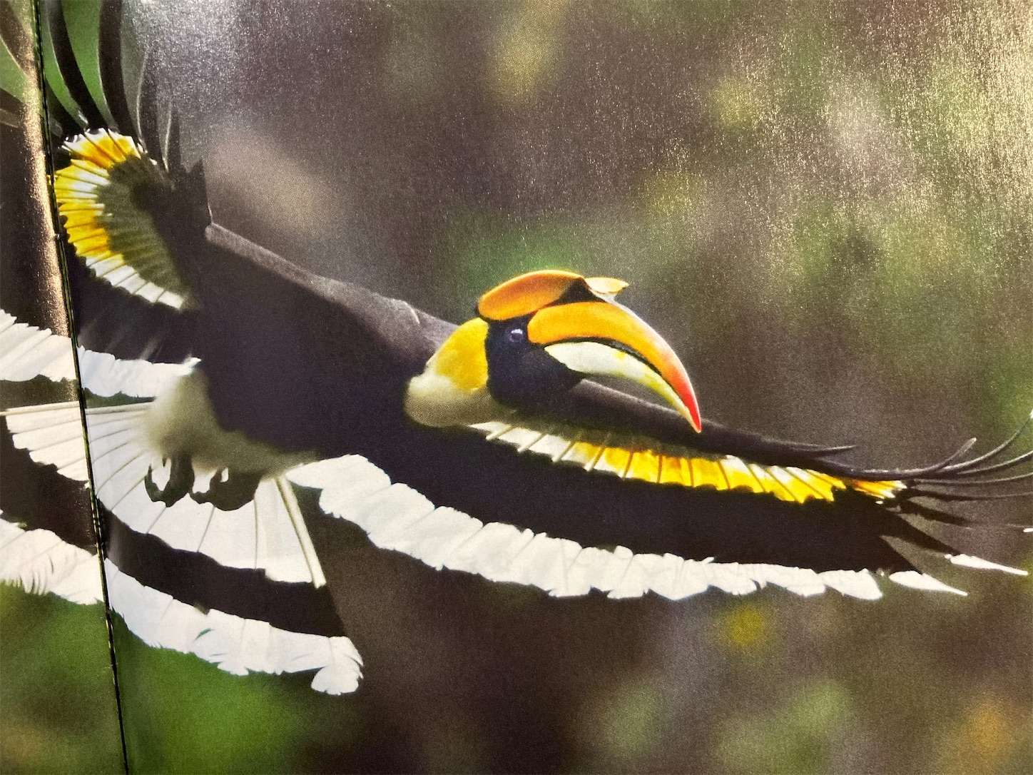 f:id:moomoon6355:20220929134028j:image f:id:moomoon6355:20220929134028j:image