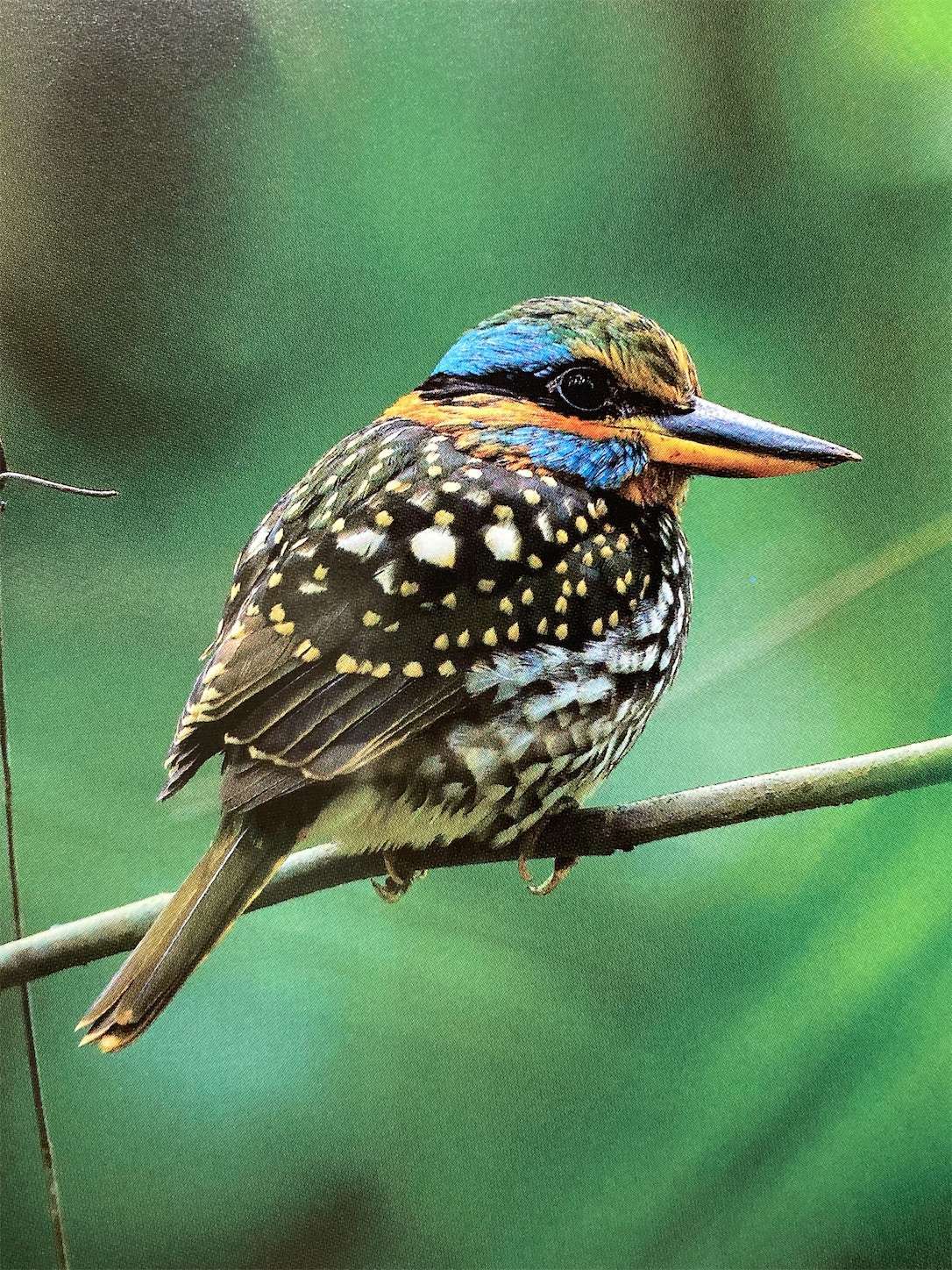 f:id:moomoon6355:20220929134037j:image f:id:moomoon6355:20220929134037j:image