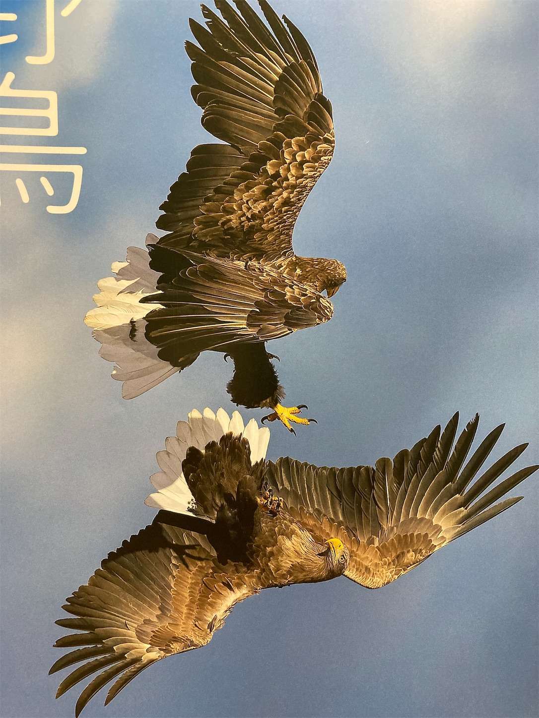 f:id:moomoon6355:20220929134041j:image f:id:moomoon6355:20220929134041j:image