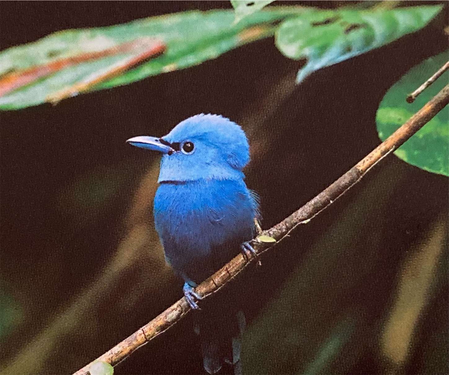 f:id:moomoon6355:20220929134046j:image f:id:moomoon6355:20220929134046j:image