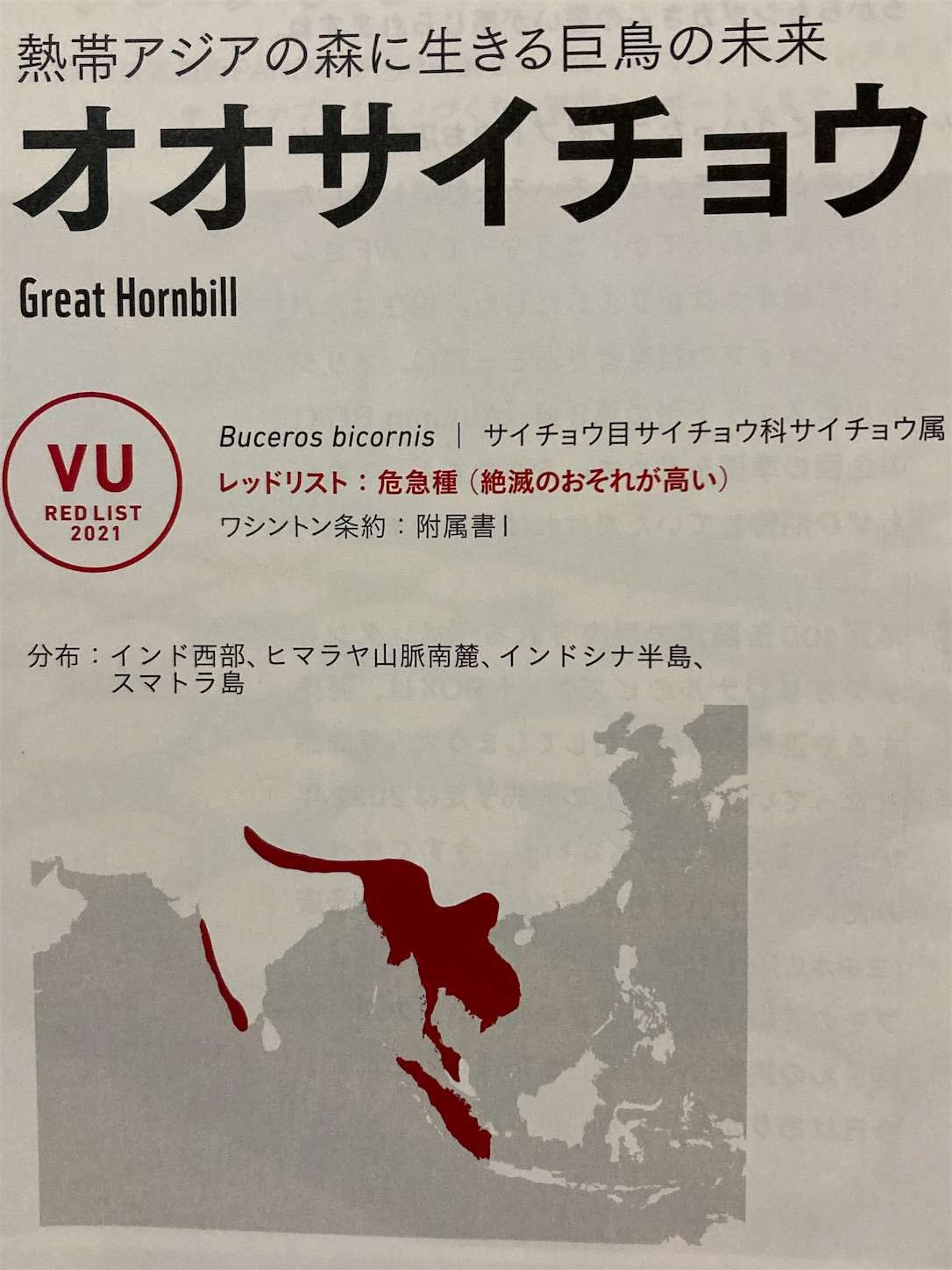 f:id:moomoon6355:20220929134050j:image