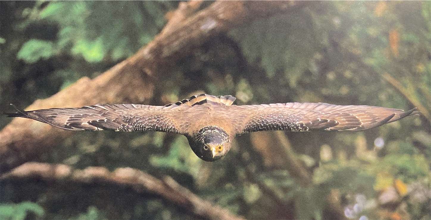 f:id:moomoon6355:20220929134054j:image f:id:moomoon6355:20220929134054j:image