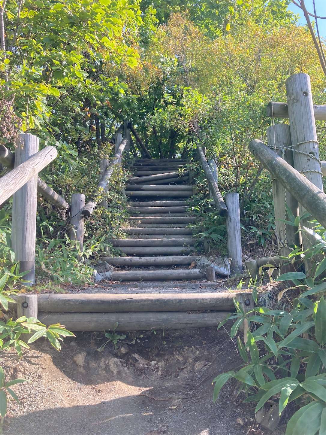 f:id:moomoon6355:20221002070300j:image f:id:moomoon6355:20221002070300j:image