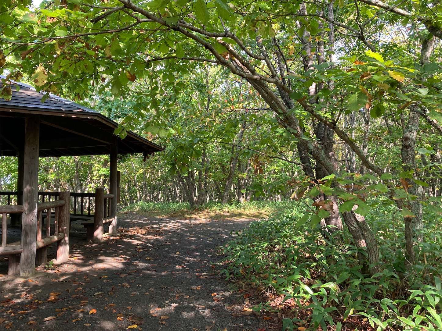 f:id:moomoon6355:20221002070309j:image f:id:moomoon6355:20221002070309j:image