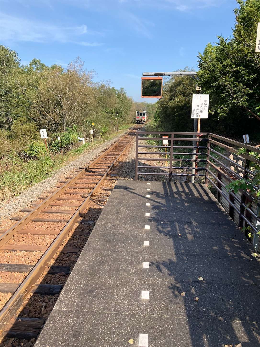 f:id:moomoon6355:20221002070329j:image f:id:moomoon6355:20221002070329j:image