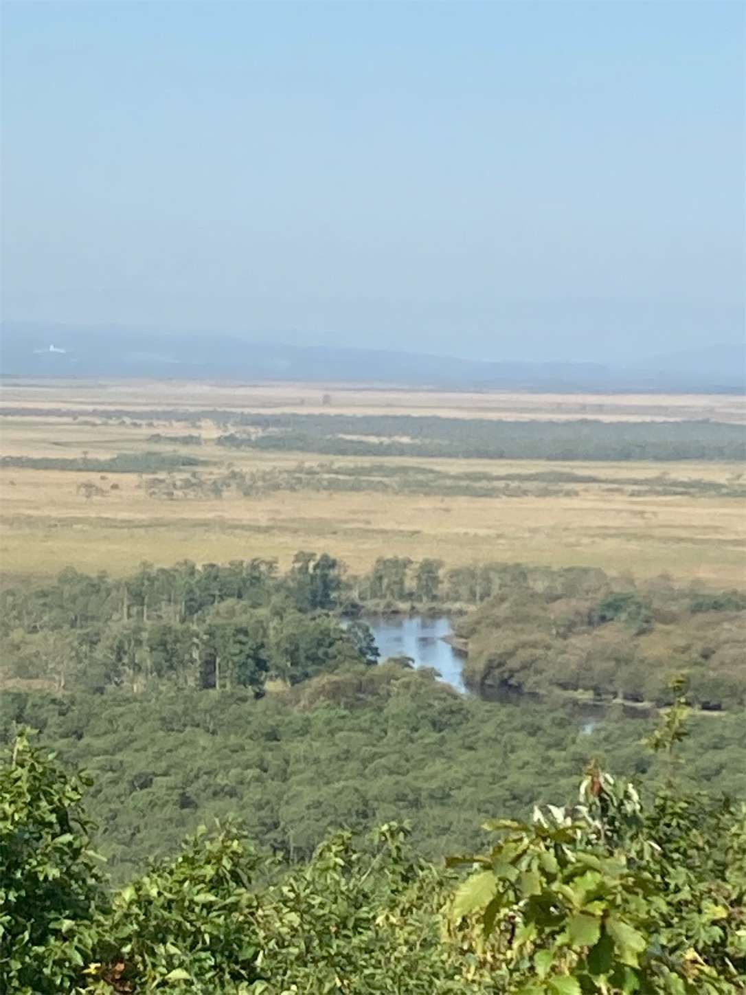 f:id:moomoon6355:20221002070608j:image f:id:moomoon6355:20221002070608j:image