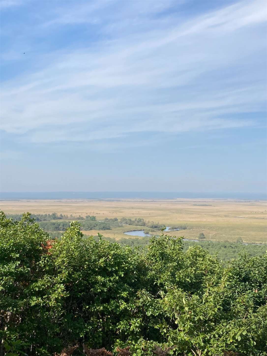 f:id:moomoon6355:20221002070621j:image f:id:moomoon6355:20221002070621j:image