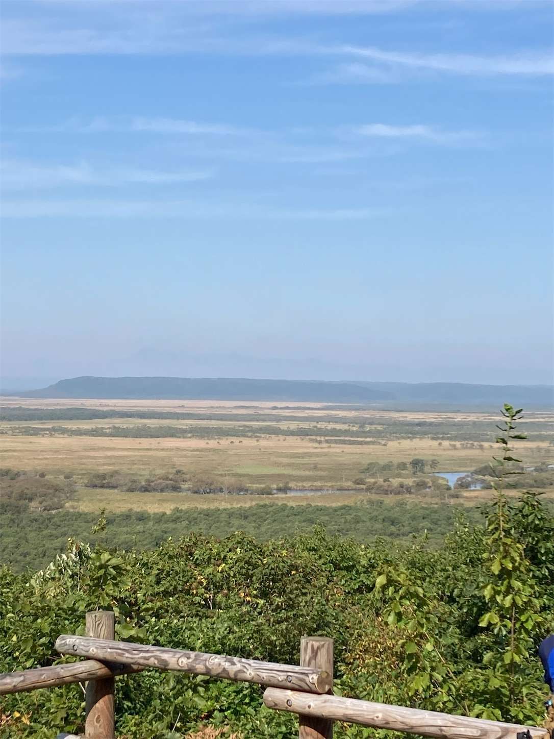 f:id:moomoon6355:20221002070624j:image f:id:moomoon6355:20221002070624j:image