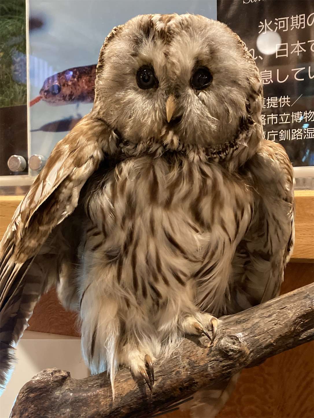 f:id:moomoon6355:20221002070900j:image f:id:moomoon6355:20221002070900j:image